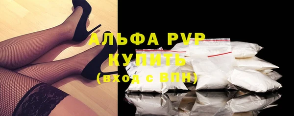 хмурый Осинники