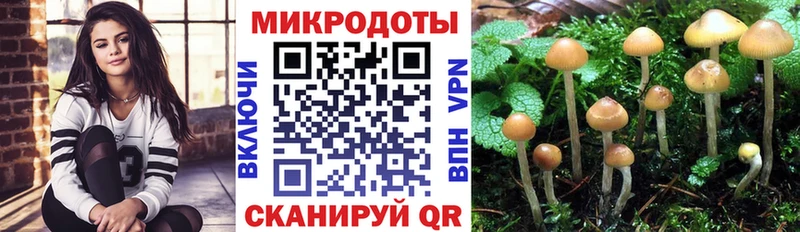 Галлюциногенные грибы мухоморы  KRAKEN tor  Ленск 